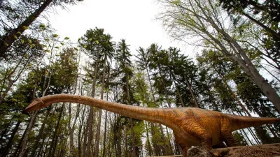 Dino Parc Râșnov - Râșnov
